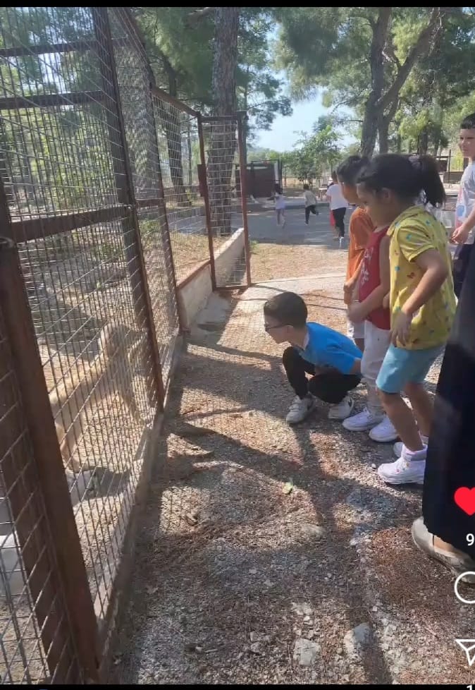 Türkçe Etkinlikleri